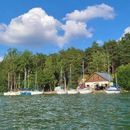 Dziczek * Borsk